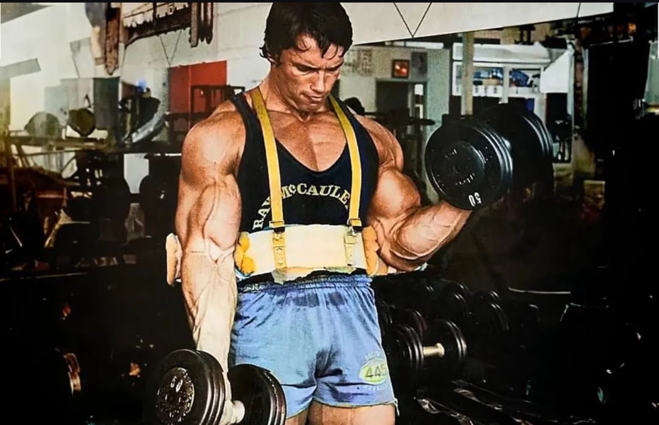 Fitness Equipment