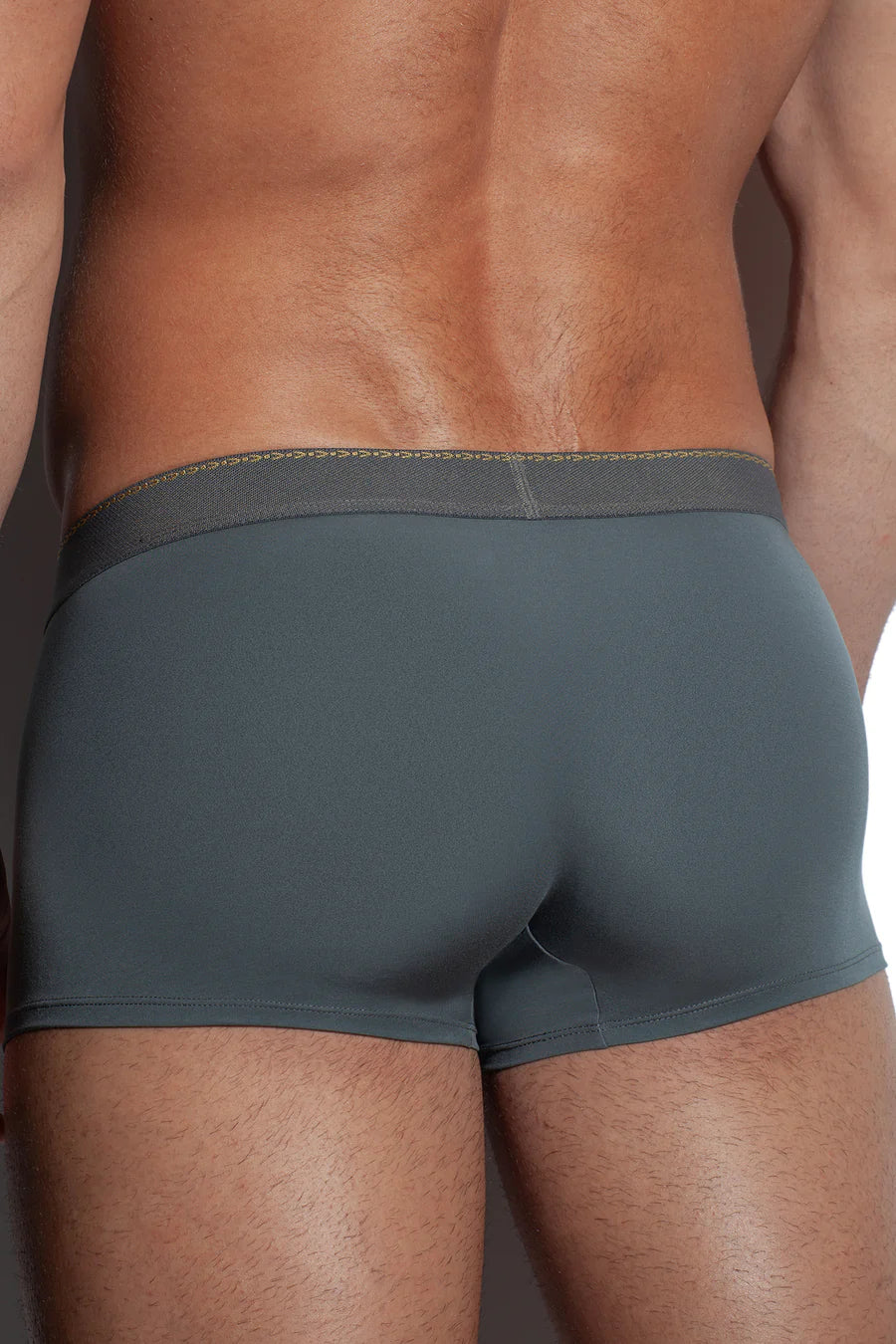 GREEK IVY TRUNK 120s Ultra-Fine Satin Modal-Grey