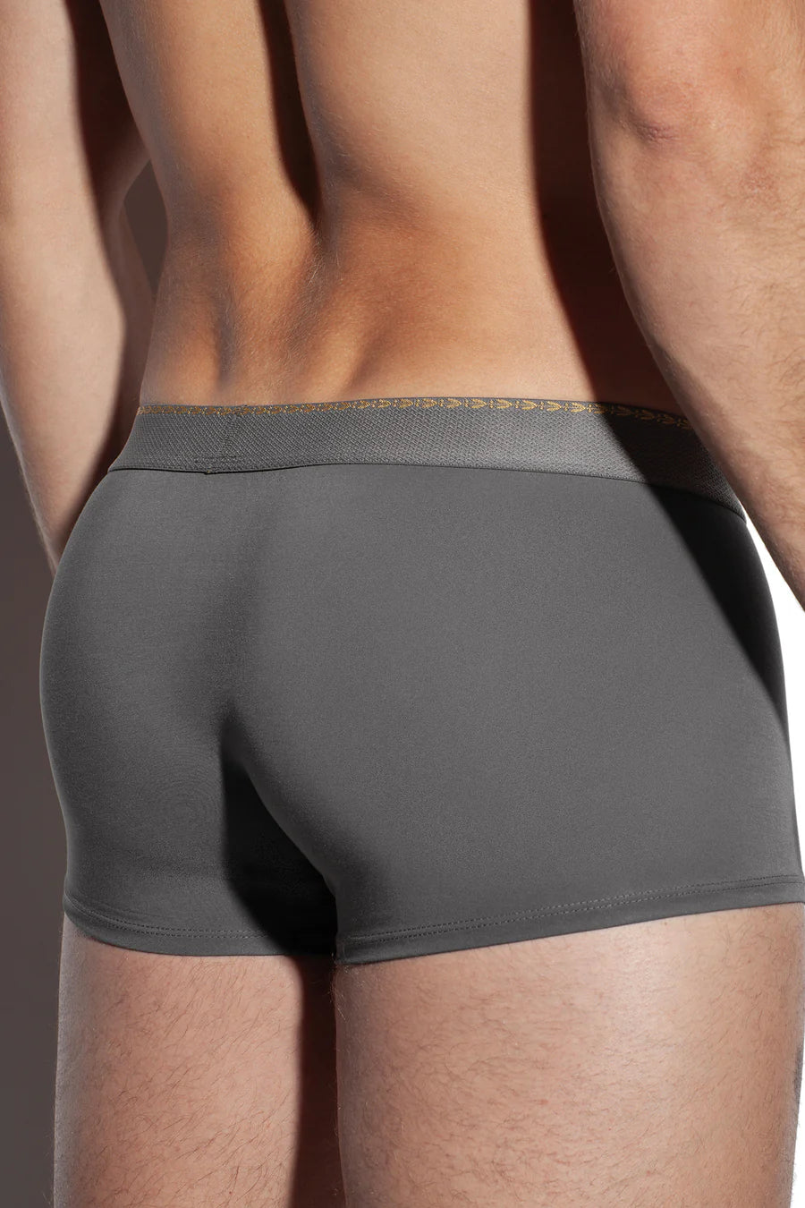 GREEK LAUREL TRUNK 120s Velvety Modal-Nylon Blend-Grey